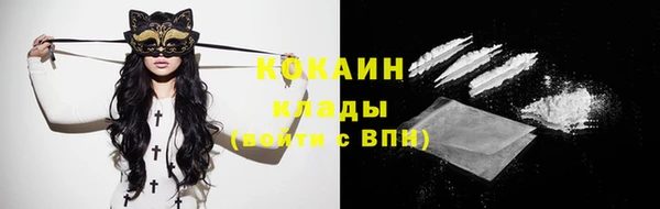 apvp Арсеньев