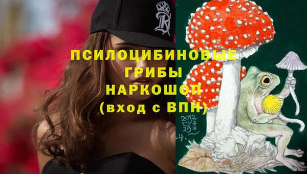 apvp Арсеньев