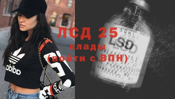 apvp Арсеньев
