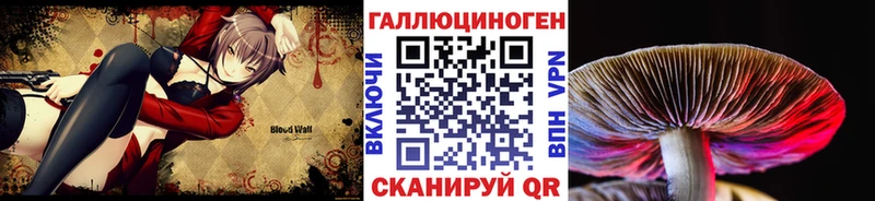 MEGA ссылка  Гороховец  Галлюциногенные грибы GOLDEN TEACHER 